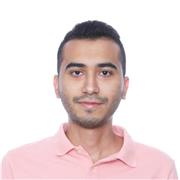 Etudiant en fin d'année d'ingénierie propose des cours en anglais.